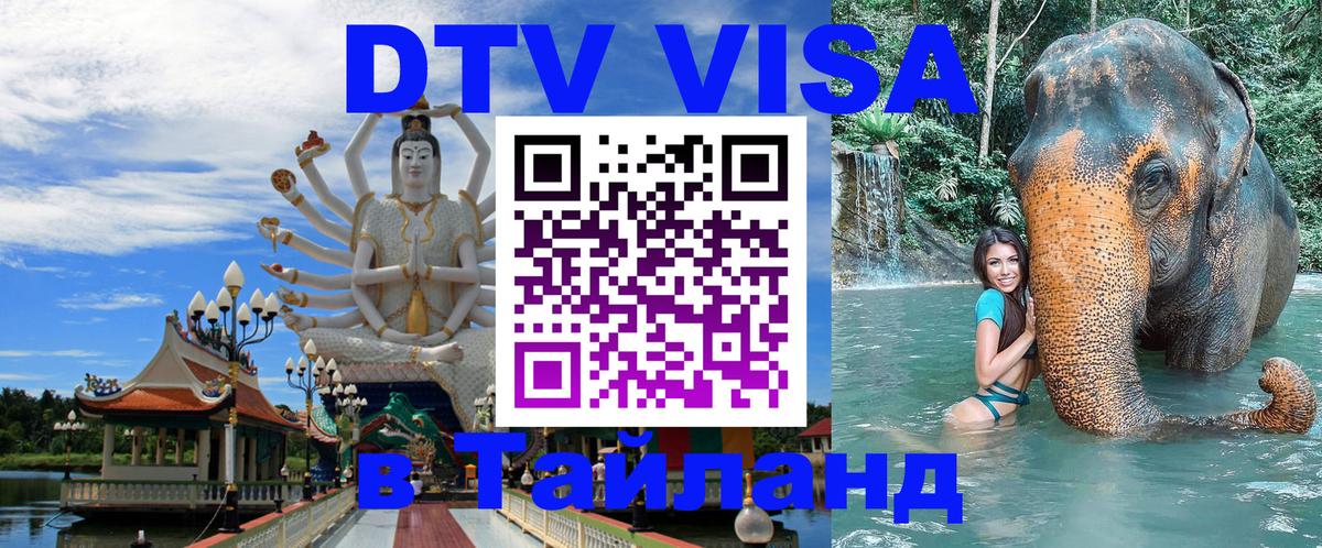 Как сделать DTV визу в Тайланд Великий Новгород 