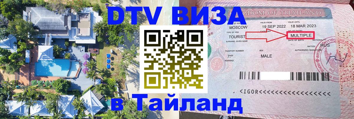 Оформление DTV визы под ключ: стоимость и тарифы, только загранпаспорт - Великий Новгород  10.01.2026 